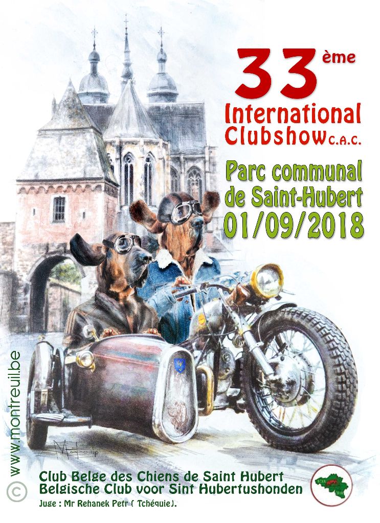 Des Limiers De L'Abbaye D'Elnon - Clubmatch St Hubert 2018 